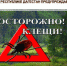 Управление Россельхознадзора по Республике Дагестан предупреждает! Как защититься от клещей - Газета Ватан