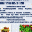 Профилактики заболеваний органов пищеварения - Сетевое издание Дербент