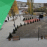 Сквер в Шамилькале благоустроили по программе «Формирование комфортной городской среды»! - Сетевое издание Дербент