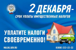 Крайний срок для внесения имущественных налогов за 2023 год — 2 декабря