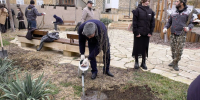 В сквере по улице Крупской высажены деревья - Газета Дербентские новости