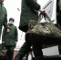 Госдума приняла закон о круглогодичном призыве на военную службу - Газета Ватан